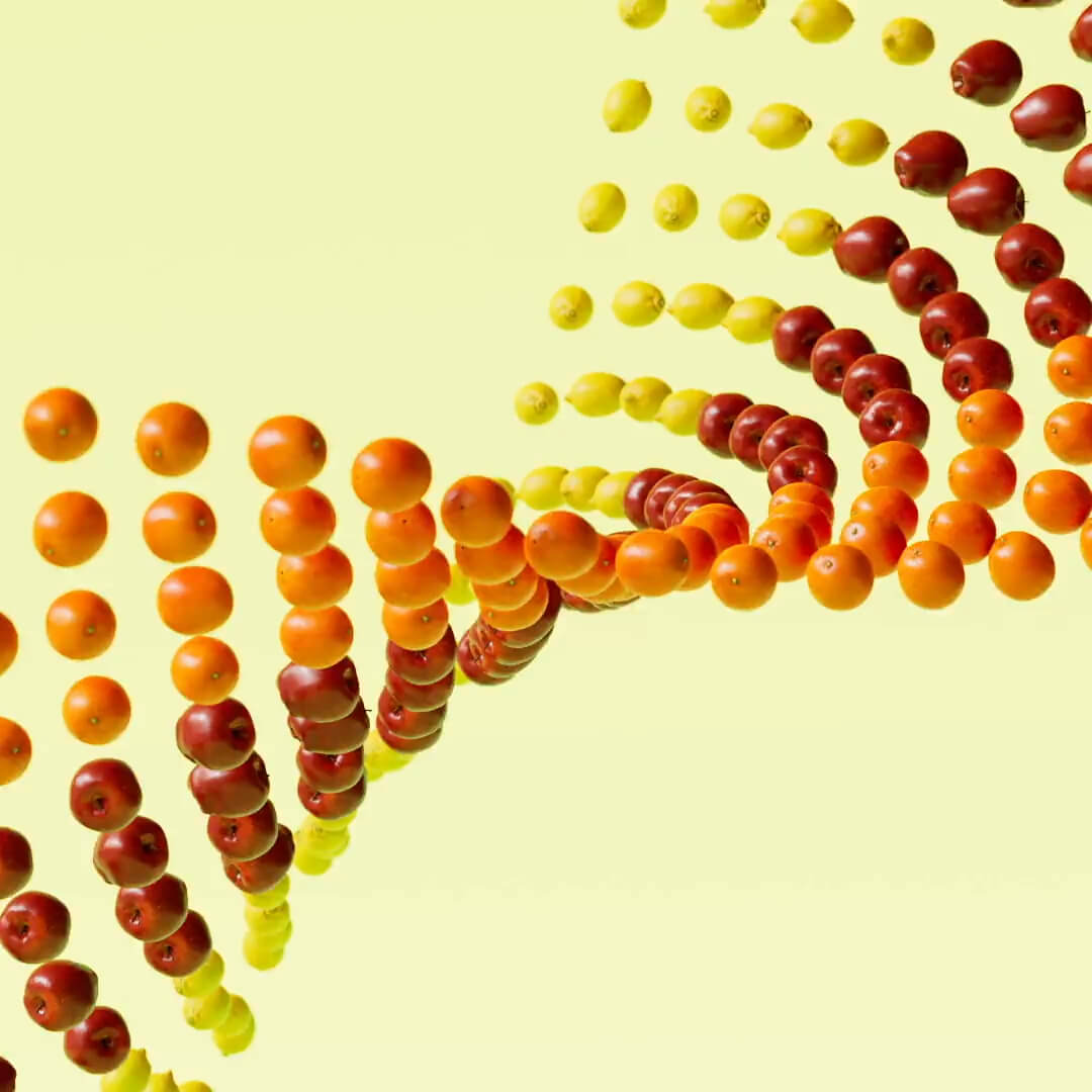 3D rendered representation of ML processes