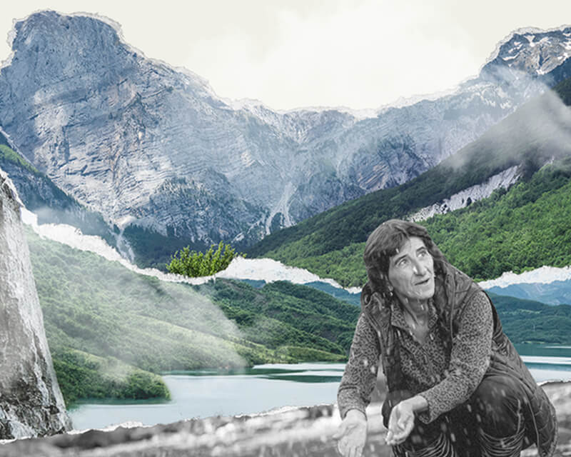 Art direction for an environmental program